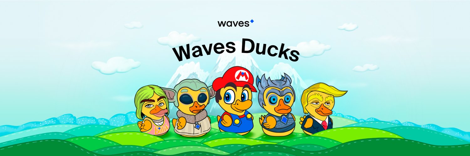 Waves Ducksbanner